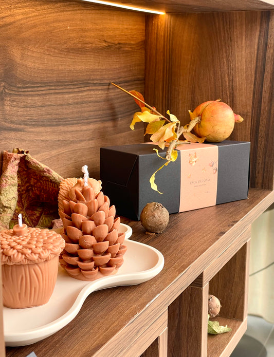 Pine Cone of the Forest